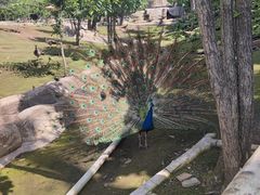 -哈尔滨北方森林动物园