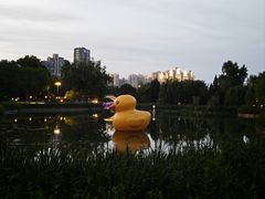 -渭滨公园