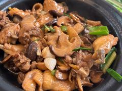 -生态苑农庄(十里画廊遇龙河店)