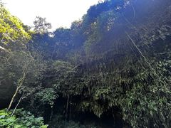 -海口火山口国家地质公园