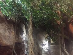 景观位-阿斯牛牛·凉山菜(新会展店)