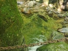 -牛背梁国家森林公园