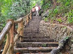 -海南热带雨林国家公园吊罗山景区
