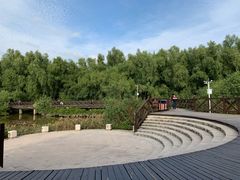 -大亚湾红树林城市湿地公园