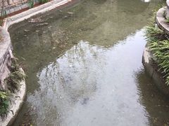 -龙潭水乡