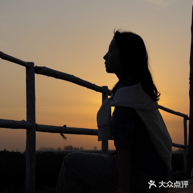 露营🏕帐篷🌿春游