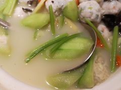 手打鱼丸煲-九妙坊(牡丹园店)