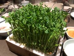 -捞王锅物料理(上海世茂广场店)