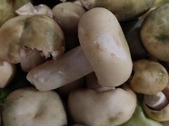 -野菌皇海景野生菌火锅(滨海大道店)