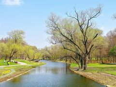 -上海共青森林公园