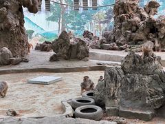 -成都动物园