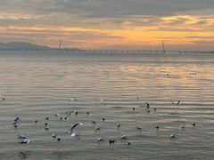 -深圳湾公园(南山区)