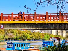 -高东镇樱花园