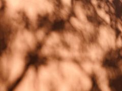 -重庆市江北嘴中央商务区中央公园