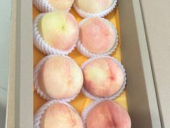 -老袁家蜜桃农场·阳山水蜜桃