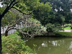 -人民公园(罗湖区)