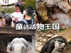 -长鹿旅游休博园