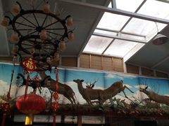 -北京鹿世界主题园