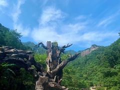 -龙湾潭国家森林公园