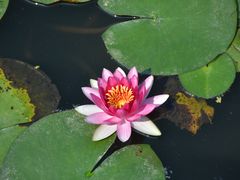 -长兴太湖图影湿地文化园