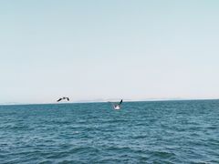 -大连海昌东方水城