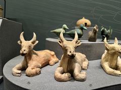 -广西壮族自治区博物馆