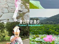 -龙寺生态园