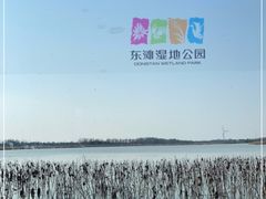 -东滩湿地公园观海楼餐厅