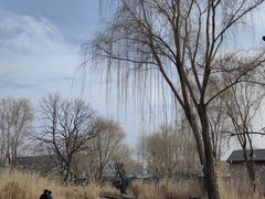-三里河公园
