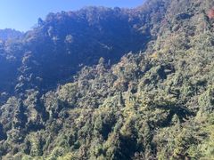 -青城山