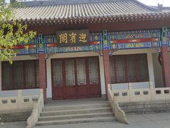 -桃花堤公园