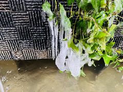 -壹泰东南亚主题餐厅·高良姜风情(州桥店)