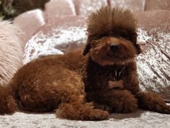 -佐佑帐篷环游记(南锣鼓巷店)