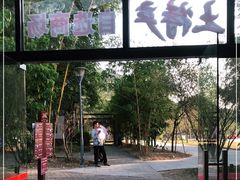 -南丹山森林王国