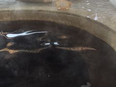 -南宫温泉水世界