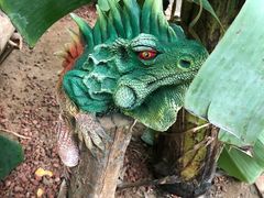 -呀路古热带植物园