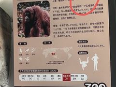 -武汉动物园