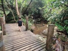 -阳台山森林公园