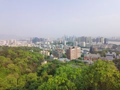 -福道