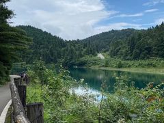 -武陵山森林公园