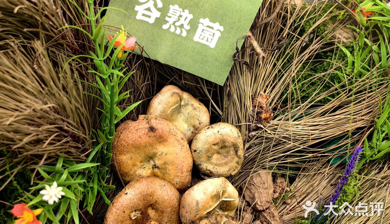 天然食材的魅力