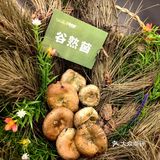 天然食材的魅力