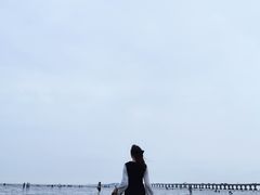 -南汇新城海滩