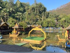 -西双版纳原始森林公园
