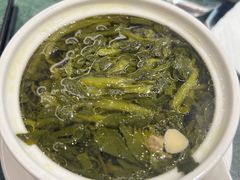 -棕榈泉国际高尔夫学院