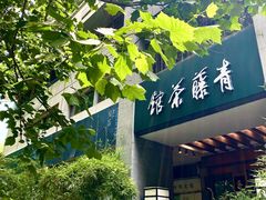 -青藤茶馆(南山路店)