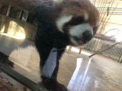 -哈尔滨北方森林动物园