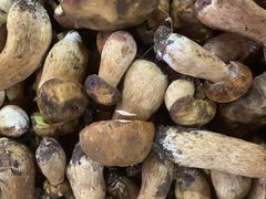 -野菌园·野生菌火锅首创第一家(关兴路总店)
