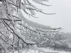 -紫金山天文台