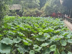 -成都武侯祠博物馆